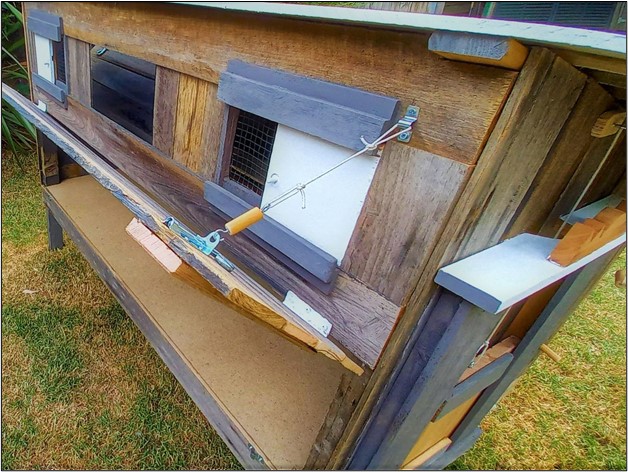 Discover the perfect blend of craftsmanship and functionality with MycosyCoop's custom handcrafted chicken coops in Melbourne. Elevate your coop game today!