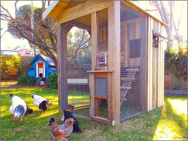 Choosing a Chicken Coop in Melbourne: Key Factors to Consider