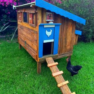 Chicken Coop and Run