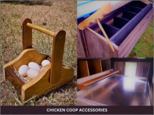 Accessorize Your Flock: Must-Have Chicken Coop Accessories in Melbourne